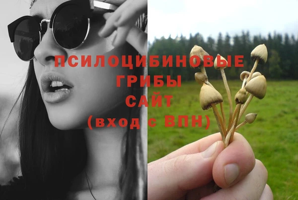 кокаин Дмитров