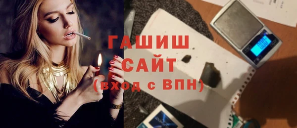 соль ск Ельня