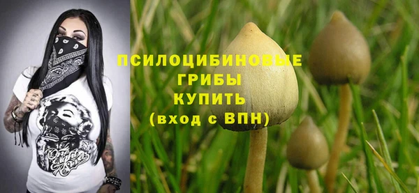 таблы Дмитровск